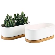 陶器鉢 2個セット Amazon.co.jp: Facecolor 楕円形サボテン鉢 2個セット 植木鉢
